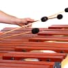 A percussionist plays the marimba with mallets